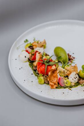 Tomate mit Gemüse, Gemüsechip und Sorbet