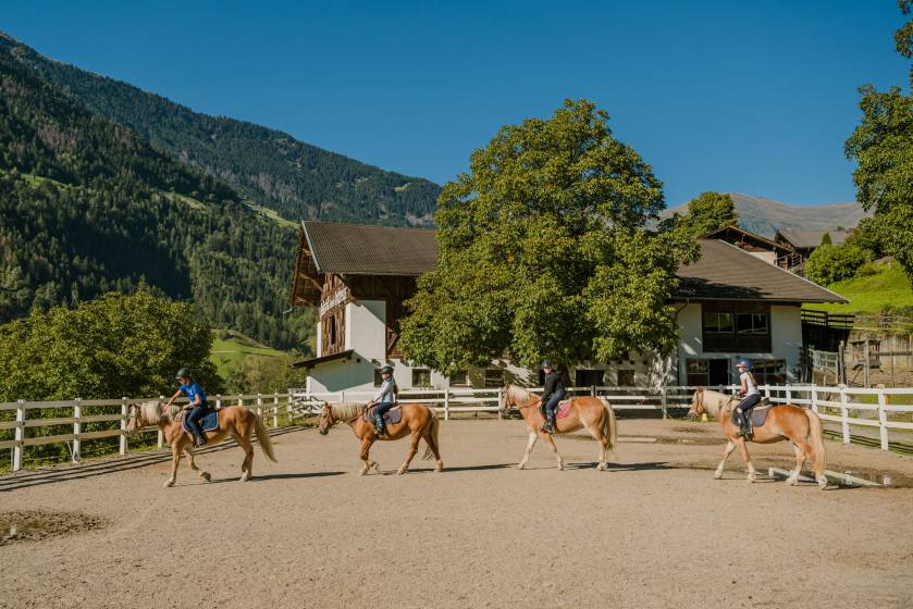 Kinder reiten auf Pferden im Longierzirkel