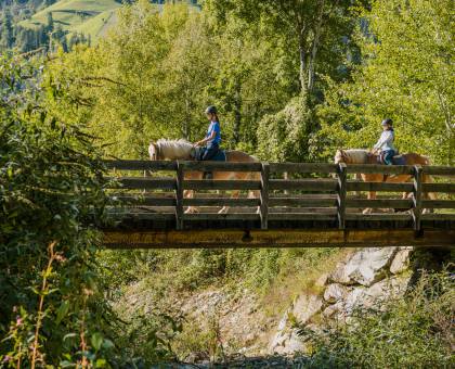 Kinder reiten mit Pferden über eine Brücke