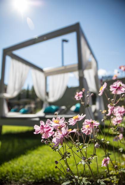 Blumen blühen im Garten auf dem Sonnenliegen stehen