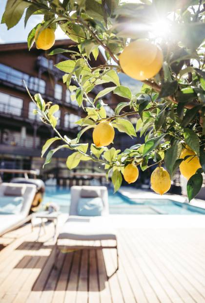 Zitronenbaum am Outdoorpool
