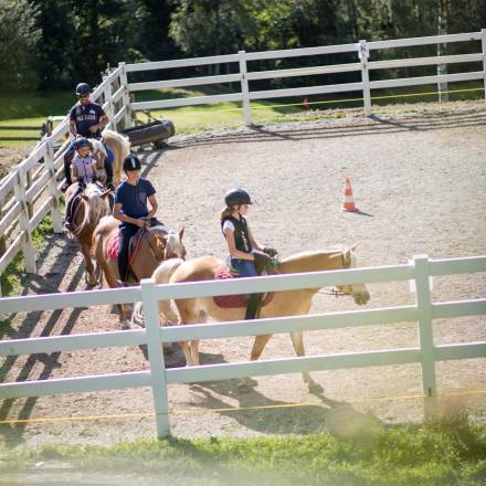 Familienurlaub im Hotel Andreus und Hotel Sonnenalm Symbolfoto