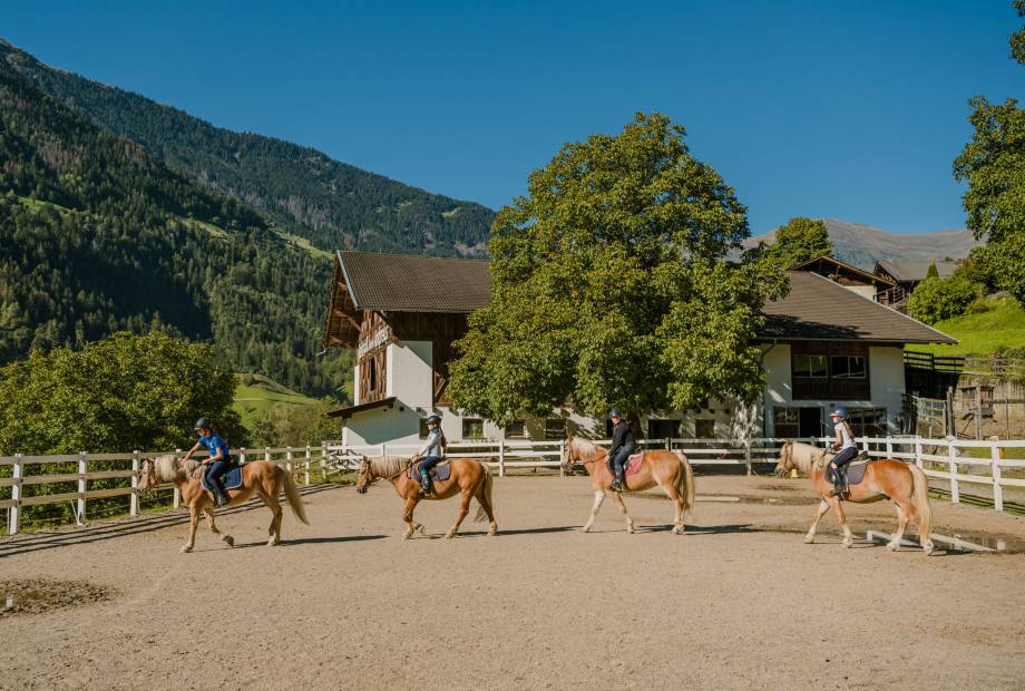 Kinder reiten auf Pferden im Longierzirkel
