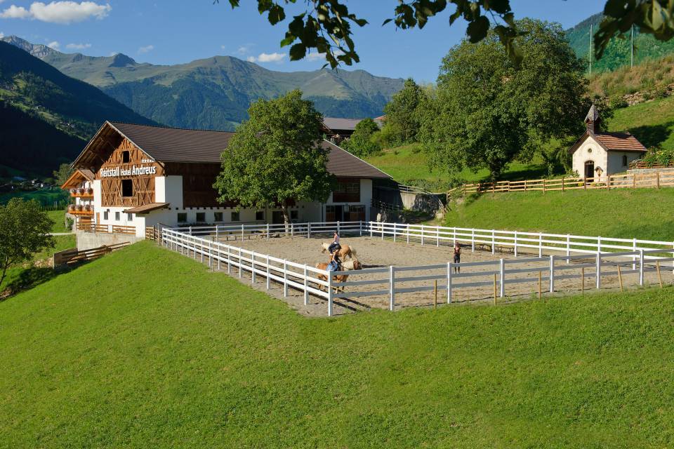 Kinder reiten am Longierzirkel